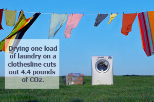 clothesline